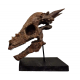 Pachycephalosaurus spinifer stygimoloch skull