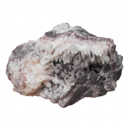 steinach calcite