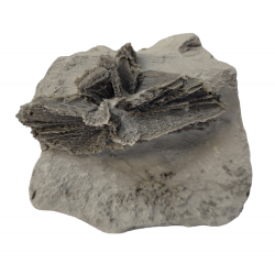 Gypsum