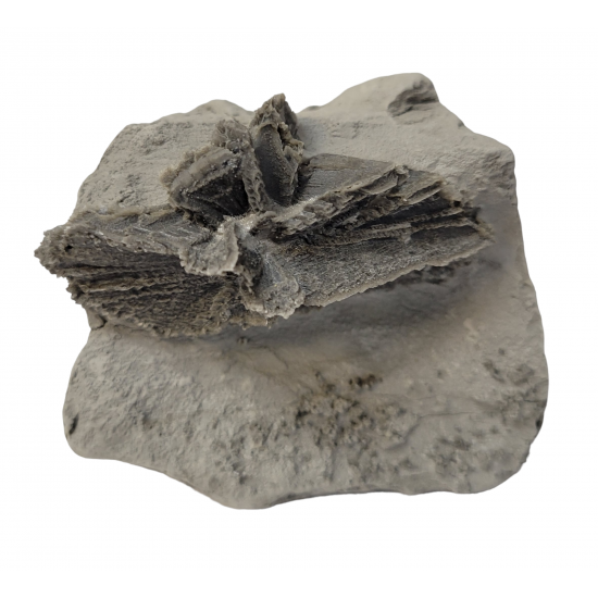 Gypsum