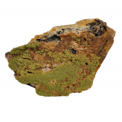 Pyromorphite from aspriére 