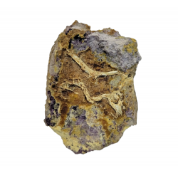 Prixite