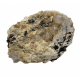 Anatase