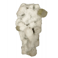 apophyllite on morderite