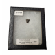 triceratops horridus (tooth)