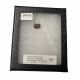 triceratops horridus (tooth)