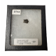 triceratops horridus (tooth)