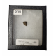 triceratops horridus (tooth)
