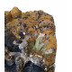 chalcedony, celadonite and mesolite
