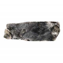 apophyllite