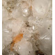 apophyllite and stilbite