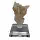 Gypsum