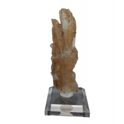Gypsum