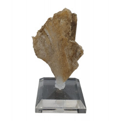 Gypsum