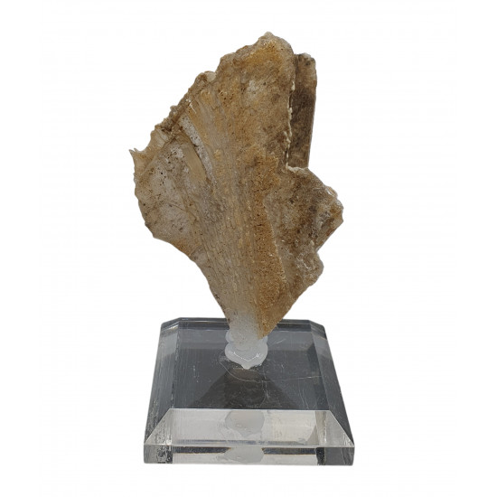 Gypsum