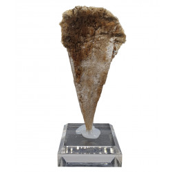 Gypsum