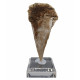 Gypsum