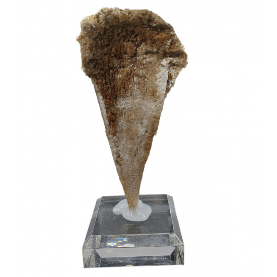 Gypsum