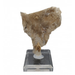 Gypsum