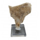 Gypsum