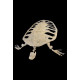 Alienochelys selloumi (tortue)