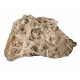 apophyllite and mesolite