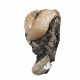 stellerite
