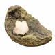 stilbite