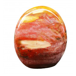 Petrified Wood Free Form