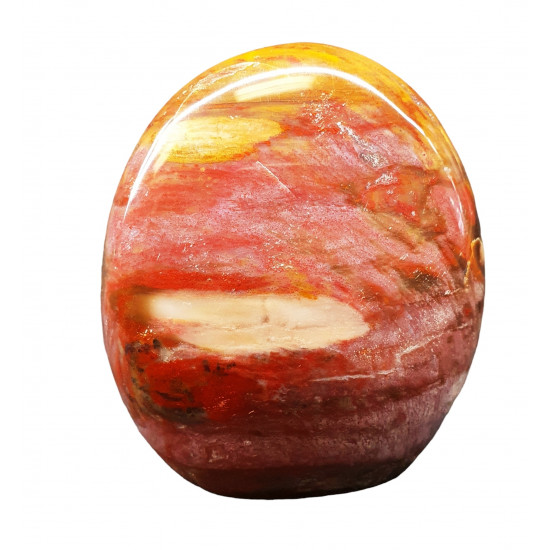 Petrified Wood Free Form