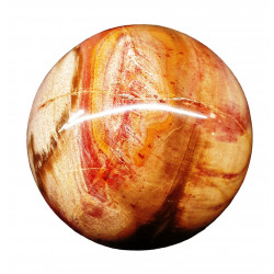 Petrified Wood Sphere