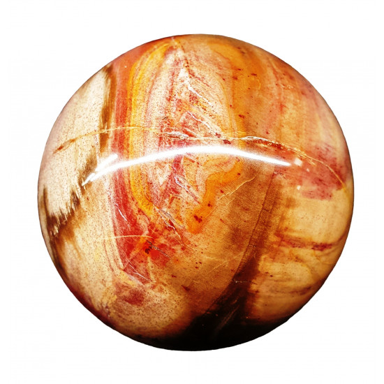 Petrified Wood Sphere