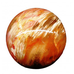 Petrified Wood Sphere