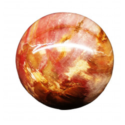 Petrified Wood Sphere