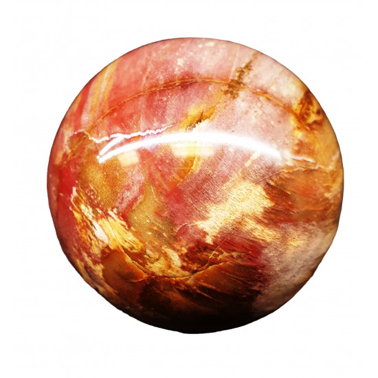 Petrified Wood Sphere