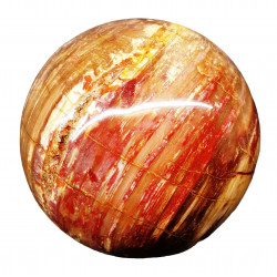 Petrified Wood Sphere