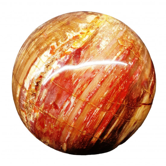 Petrified Wood Sphere