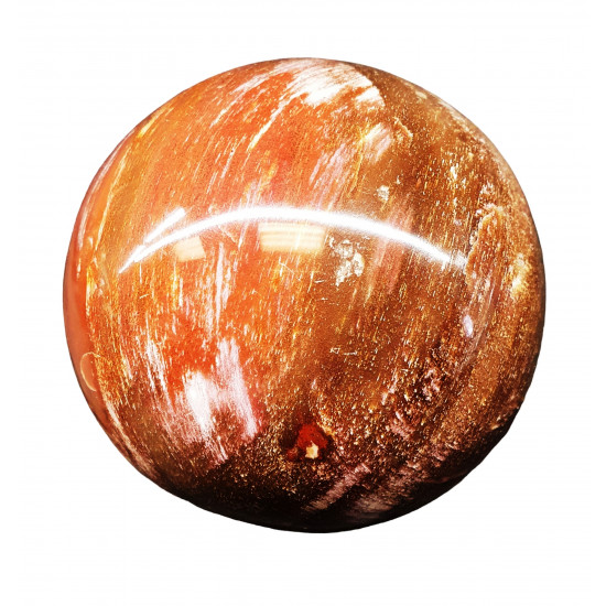 Petrified Wood Sphere