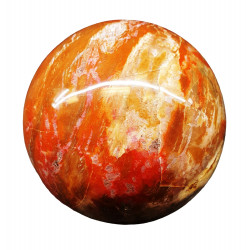 Petrified Wood Sphere