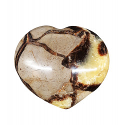 coeur septaria