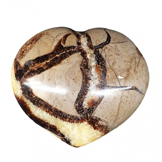 Septarian heart