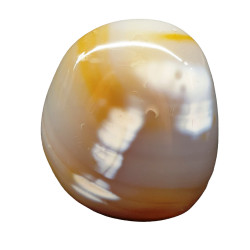 Orca Agate Free Form