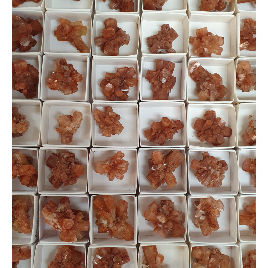 aragonite