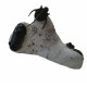 Cyphaspis sp - paralejurus rehamnanus