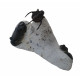 Cyphaspis sp - paralejurus rehamnanus