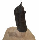 morocconites malladoides