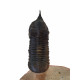 morocconites malladoides