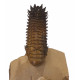 Crotalocephalus gibbus