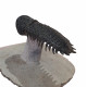 Crotalocephalus gibbus