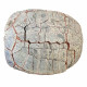 stylemys nebrascensis (turtle)
